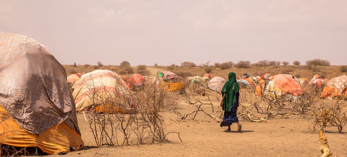خانواده های آواره متاثر از خشکسالی، منطقه سومالی، اتیوپی.