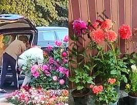 دستگیری مرد گوروگرام به دلیل “سرقت” گلدان های نصب شده برای رویداد G20 |  اخبار هند