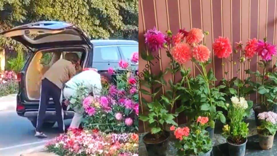 دستگیری مرد گوروگرام به دلیل "سرقت" گلدان های نصب شده برای رویداد G20 |  اخبار هند