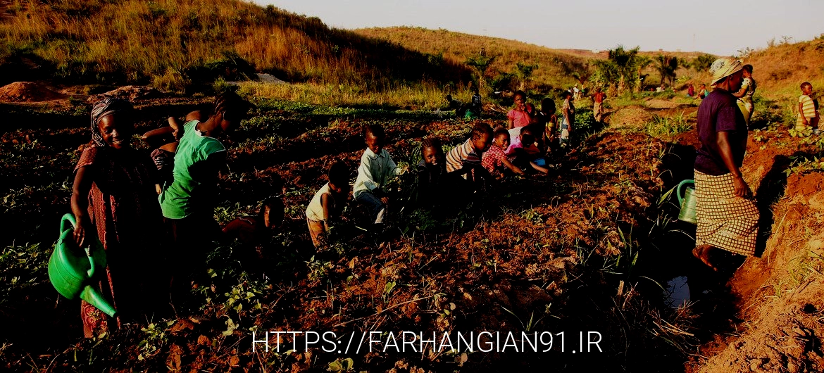 زنان و کودکانی که در اثر خشونت آواره شده‌اند، در باغ سبزی خود در کالمیه، تانگانیکا کار می‌کنند، جایی که فائو بذر و ابزاری را فراهم می‌کند تا خانواده‌های آواره و جمعیت محلی بتوانند سبزیجات بکارند.