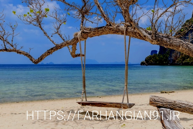 Free photo wooden swing hang under tree on beach at koh phak bia island krabi thailand